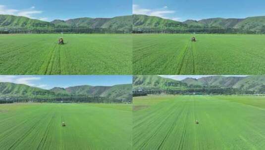 新疆伊犁唐布拉草原农民喷药 新农 环保高清在线视频素材下载