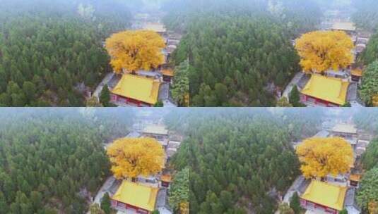 山东济南淌豆寺秋天航拍寺庙高清在线视频素材下载