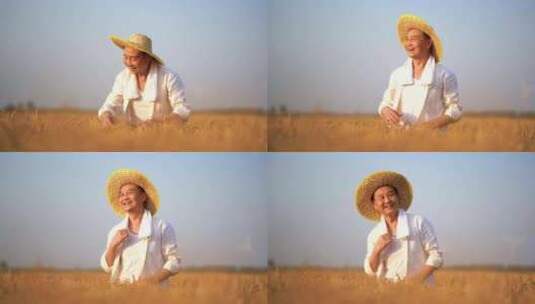 农民微笑 稻田丰收高清在线视频素材下载