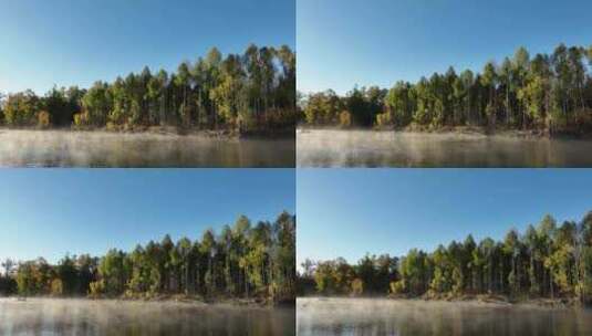 秋季森林河晨雾迷漫高清在线视频素材下载