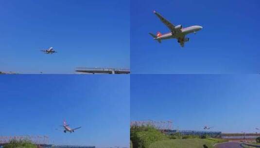 四川航空  飞机 航班 飞机降落 厦门高清在线视频素材下载