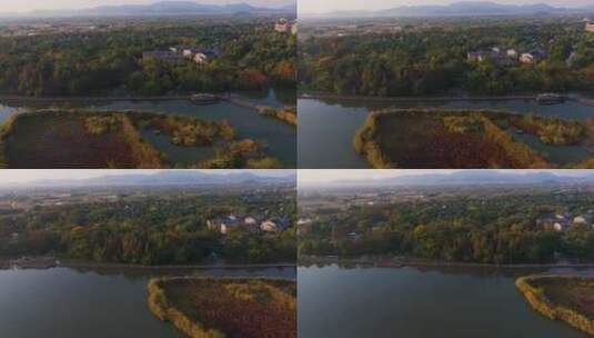 浙江湖州德清下渚湖湿地公园秋色航拍高清在线视频素材下载