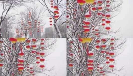 雪景下雪时树上挂的红灯笼高清在线视频素材下载