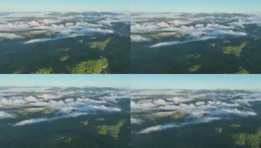 森林云海延时拍摄航拍大气恢弘远景高清在线视频素材下载