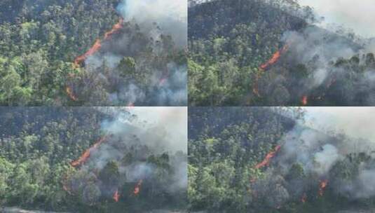 森林火灾航拍农村树林着火乡村山坡树林起火高清在线视频素材下载