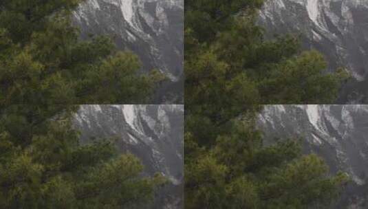 实拍下雪时的雪山树林高清在线视频素材下载