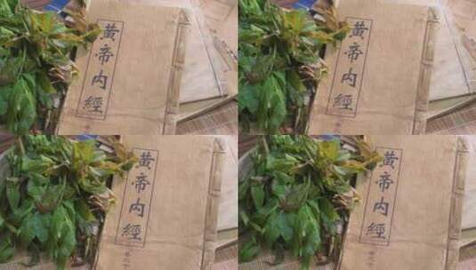 中药古籍香椿芽高清在线视频素材下载