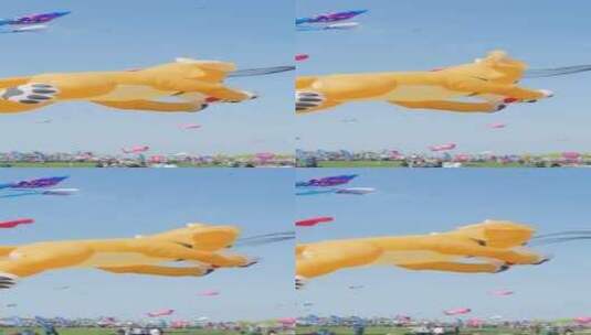 潍坊国际风筝节高清在线视频素材下载