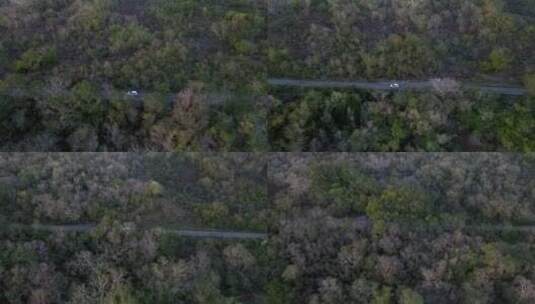 汽车穿过墨西哥梅里达附近的森林高清在线视频素材下载