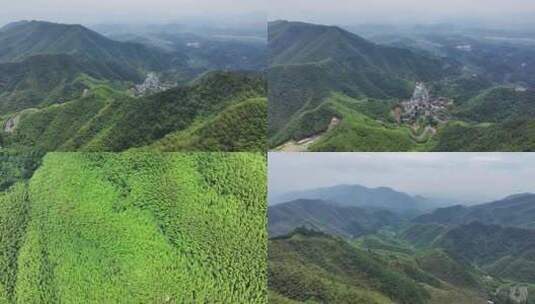 （合集）中国浙江杭州径山竹山竹林竹海高清在线视频素材下载