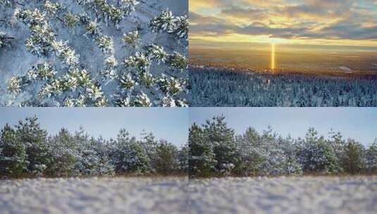 航拍冬季雪覆森林景象高清在线视频素材下载
