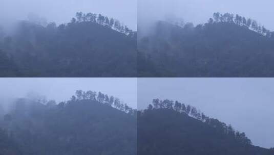 山间云雾缭绕的森林景观高清在线视频素材下载