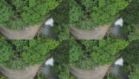 广东东莞：山溪流水潺潺高清在线视频素材下载