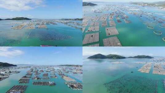 福建漳州东山岛鱼排航拍1高清在线视频素材下载