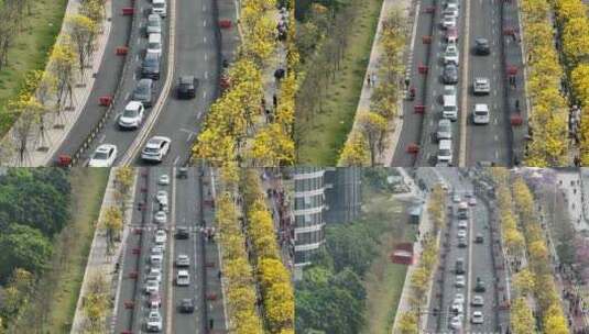 广州花城春天花海高空航拍高清在线视频素材下载