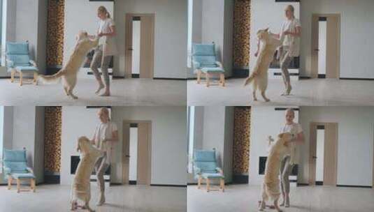 快乐的女人在家和狗跳舞高清在线视频素材下载