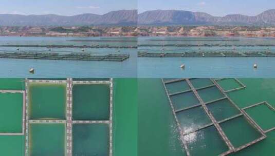 4K航拍刘家峡水库渔业养殖高清在线视频素材下载