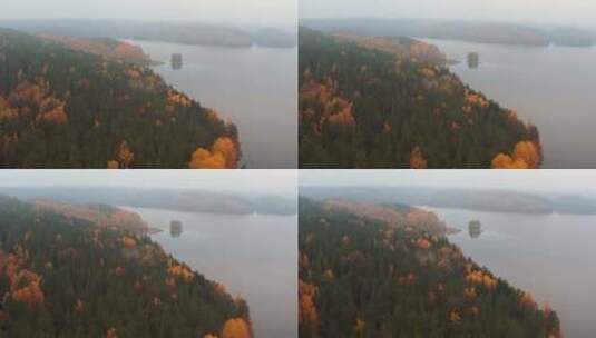航拍秋天的海边森林高清在线视频素材下载