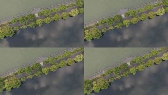 航拍武汉东湖绿道分界线高清在线视频素材下载