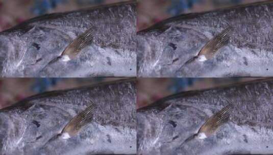 新鲜带鱼鱼鳞鱼眼睛特写高清在线视频素材下载