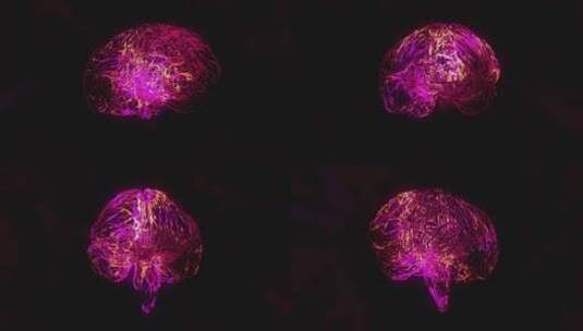 医学 大脑 脑科学 三维 脑ct1 模型高清在线视频素材下载