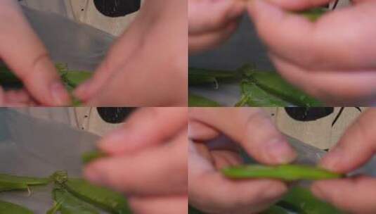 【镜头合集】处理清洗荷兰豆蔬菜维生素高清在线视频素材下载