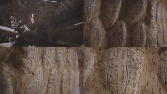 甲骨文 考古 科研 古文字 墓葬高清在线视频素材下载