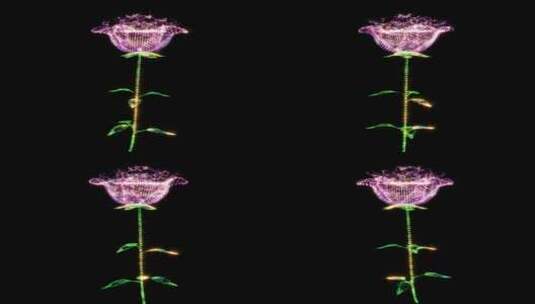 浪漫粒子玫瑰花朵高清在线视频素材下载