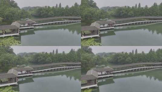 航拍中国浙江杭州浴鹄湾雨天自然水上树林高清在线视频素材下载