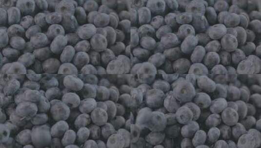 清洗过的蓝莓LOG高清在线视频素材下载