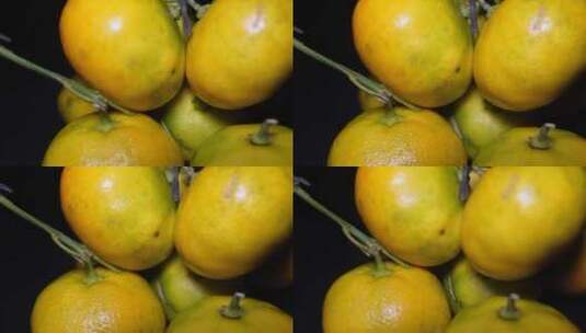 早熟青皮蜜橘砂糖橘水果高清在线视频素材下载