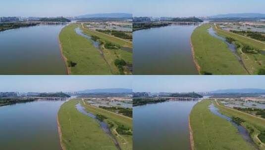 航拍江西吉安禾泸水沿岸湿地高清在线视频素材下载