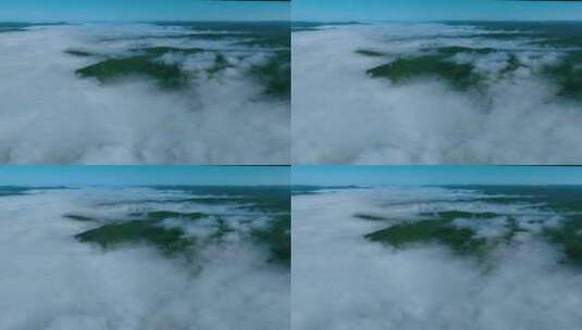内蒙古大兴安岭森林云雾高清在线视频素材下载