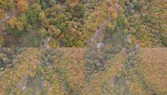 无人机俯拍拍山里秋景高清在线视频素材下载