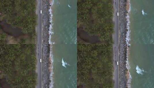 三亚日月湾海边公路椰树高清在线视频素材下载