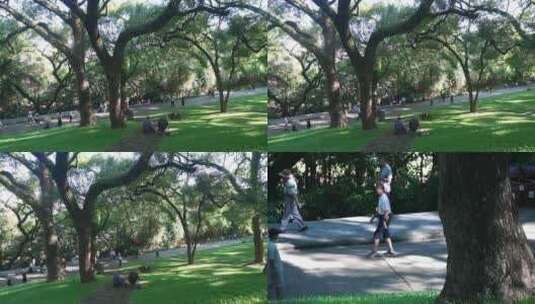 公园散步 锻炼高清在线视频素材下载