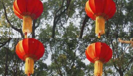 大红灯笼挂在树下吉利祥和喜庆过年高清在线视频素材下载