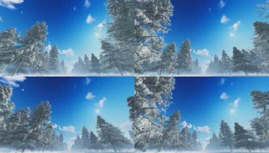 4K冬天冬日唯美雪景下雪雪花飘落蓝天视频高清在线视频素材下载