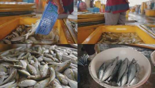 鱼市场卖鱼镜头特写高清在线视频素材下载