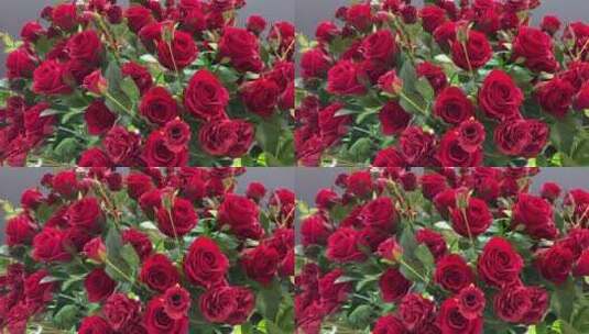 济南579百工集，情人节红心、玫瑰打卡装置高清在线视频素材下载