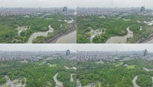 吴淞炮台湾湿地森林公园高清在线视频素材下载
