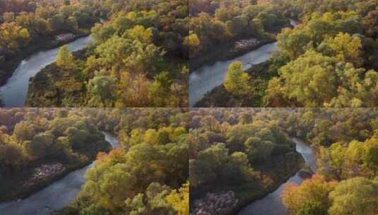航拍林间河流高清在线视频素材下载