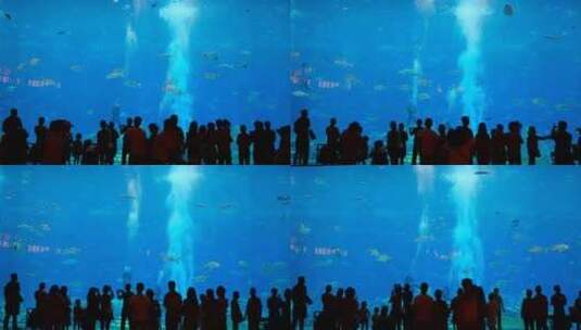 海底世界海洋馆游客剪影 水族馆 海底世界高清在线视频素材下载