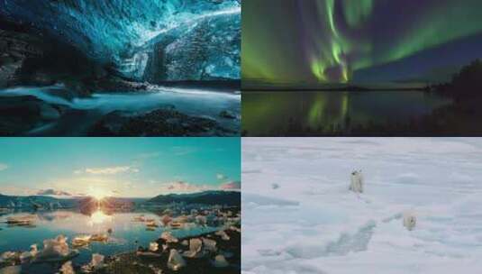 【合集】北冰洋 北极 鱼类 北极熊 北极风光高清在线视频素材下载