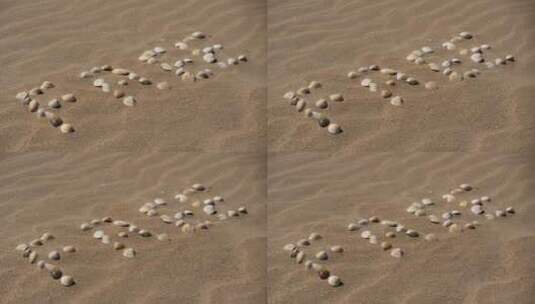 沙子上的铭文。从贝壳上放出这个词。被风吹走的沙粒高清在线视频素材下载