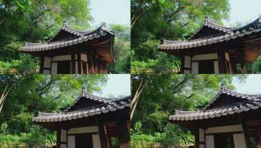 广州越秀公园中式园林庭院高清在线视频素材下载