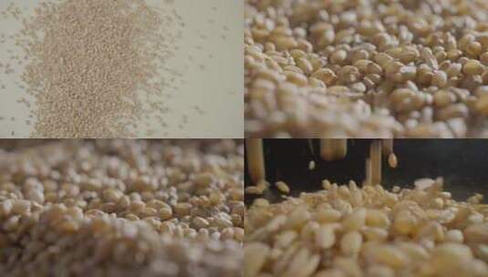 小麦 麦粒棚拍高清在线视频素材下载