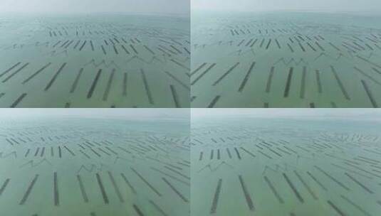 5K超清海上养殖基地航拍高清在线视频素材下载