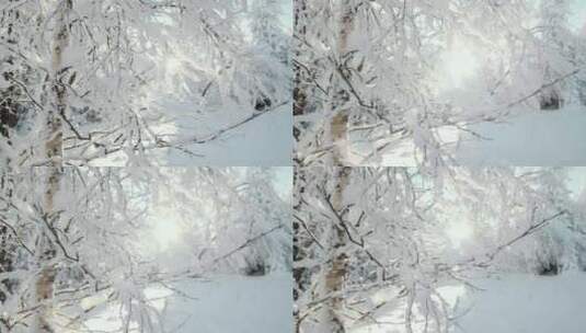 唯美冬季暖阳照射树枝积雪空镜高清在线视频素材下载