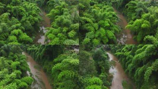 航拍夏季雨后山涧溪流清新自然竹海风景高清在线视频素材下载